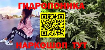 стафф Славянск-на-Кубани